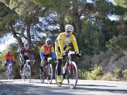 Menorial León Sanchez